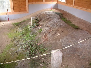 郷村断層