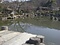 円山公園