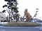 桜塚古墳群