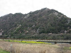觜崎ノ屏風岩 はしさきのびょうぶいわ
