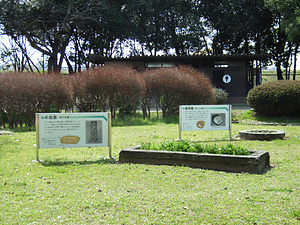田能遺跡 たのいせき