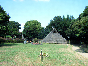 田能遺跡 たのいせき