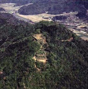 山名氏城跡<br />
　此隅山城跡<br />
　有子山城跡