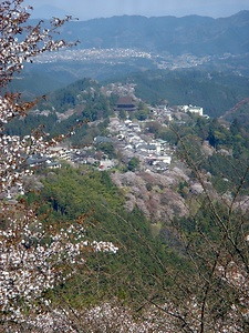 吉野山 よしのやま