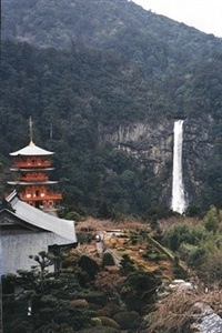那智原始林