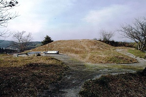 仲仙寺古墳群