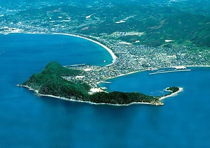峨嵋山樹林