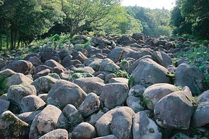 吉部の大岩郷