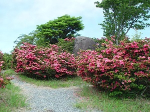 須佐高山の磁石石 すさこうやまのじしゃくいし