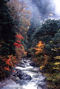 面河渓