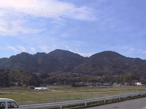 立花山クスノキ原始林 たちばなやまくすのきげんしりん