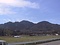 立花山クスノキ原始林
