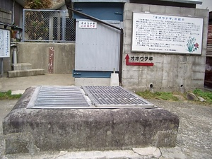 オオウナギ生息地