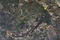 志津川のオキチモズク発生地