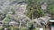 五箇瀬川峡谷（高千穂峡谷）