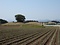 持田古墳群