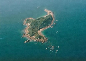 枇榔島亜熱帯性植物群落 びろうじまあねったいせいしょくぶつぐんらく