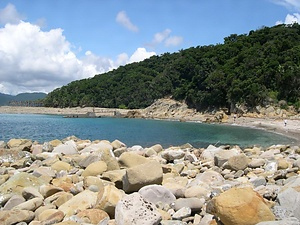 枇榔島亜熱帯性植物群落 びろうじまあねったいせいしょくぶつぐんらく