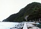 鹿児島県のソテツ自生地