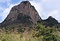 鹿児島県のソテツ自生地