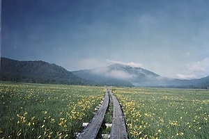 尾瀬 おぜ