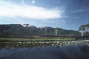 尾瀬 おぜ
