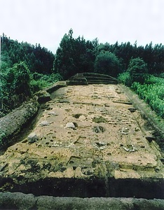 東山官衙遺跡 ひがしやまかんがいせき
