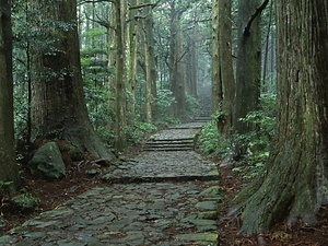 熊野参詣道<br />
　紀伊路<br />
　中辺路<br />
　大辺路<br />
　小辺路<br />
　伊勢路<br />
　熊野川<br />
　七里御浜<br />
　花の窟 くまのさんけいみち<br />
　きいじ<br />
　なかへち<br />
　おおへち<br />
　こへち<br />
　いせじ<br />
　くまのがわ<br />
　しちりみはま<br />
　はなのいわや