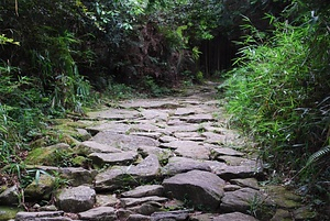 熊野参詣道<br />
　紀伊路<br />
　中辺路<br />
　大辺路<br />
　小辺路<br />
　伊勢路<br />
　熊野川<br />
　七里御浜<br />
　花の窟 くまのさんけいみち<br />
　きいじ<br />
　なかへち<br />
　おおへち<br />
　こへち<br />
　いせじ<br />
　くまのがわ<br />
　しちりみはま<br />
　はなのいわや