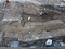 星糞峠黒曜石原産地遺跡