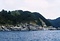 八幡浜市大島のシュードタキライト及び変成岩類
