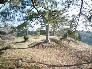菊川城館遺跡群<br />
　高田大屋敷遺跡<br />
  　横地氏城館跡