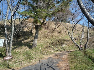 菊川城館遺跡群<br />
　高田大屋敷遺跡<br />
  　横地氏城館跡 きくがわじょうかんいせきぐん<br />
　たかだおおやしきいせきあと<br />
　よこちしじょうかんあと