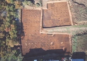 金田官衙遺跡