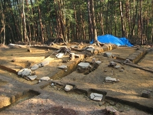 中寺廃寺跡
