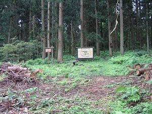 増山城跡 ますやまじょうあと