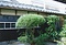 畠中家住宅薪小屋
