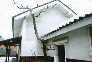 上野家住宅旧穀蔵 うえのけじゅうたくきゅうこくぐら