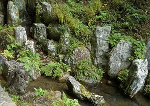 西禅院庭園 さいぜんいんていえん