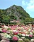旧武雄邑主鍋島氏別邸庭園（御船山楽園）