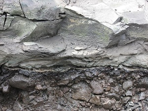 小野川の阿蘇４火砕流堆積物及び埋没樹木群 おのがわのあそよんかさいりゅうたいせきぶつおよびまいぼつじゅもくぐん