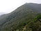 薩摩黒島の森林植物群落