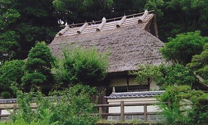 明星草庵