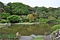 小石川植物園（御薬園跡及び養生所跡）