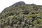 宝島女神山の森林植物群落