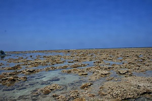 八重干瀬