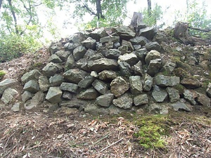唐沢山城跡 からさわやまじょうあと