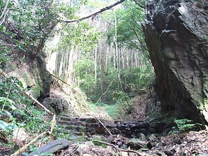 唐沢山城跡 からさわやまじょうあと