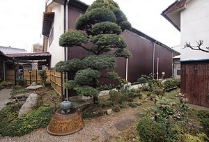 寒北斗酒造安政の蔵