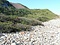甑島長目の浜及び潟湖群の植物群落